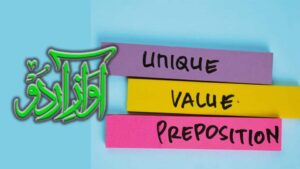 Unique Value of AwazeUrdu shown through its Urdu audiobook platform and digital literature model