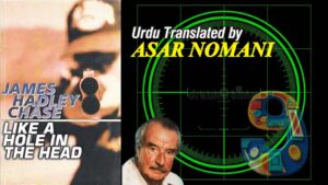 Betrayal revenge themes in Like a Hole in the Head by James Hadley Chase noir crime novel