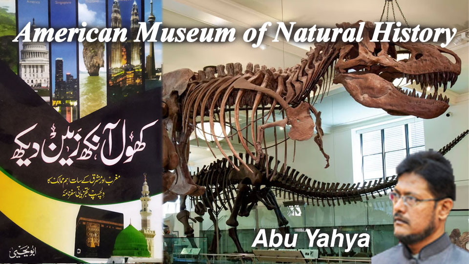 American Museum of Natural History exterior and space exhibition showcasing universe and science displays