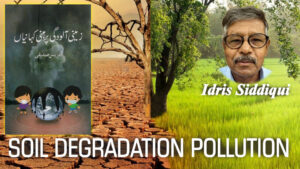 Soil degradation caused by polluted water in agricultural land