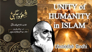 Unity of Humanity concept in Islam explained through Maulana Ubaidullah Sindhi’s thought